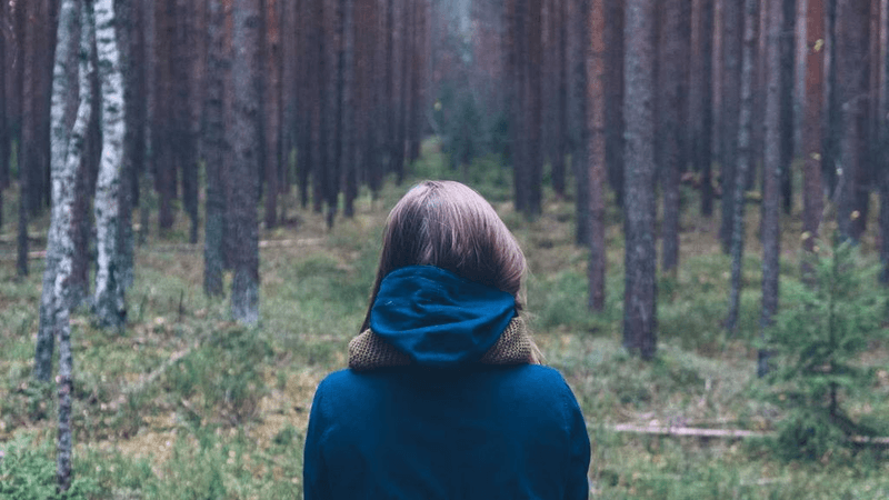 Cat - professional stock photography