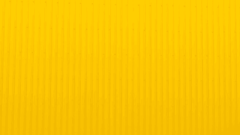 Corgi - professional stock photography