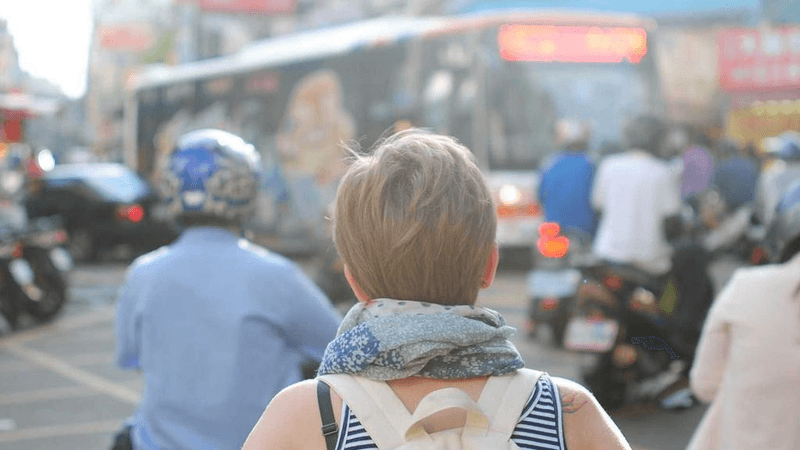 Corgi - professional stock photography