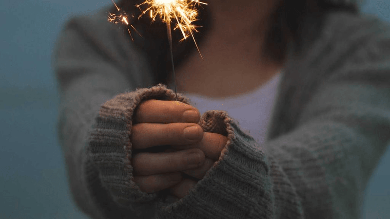 Dog - professional stock photography