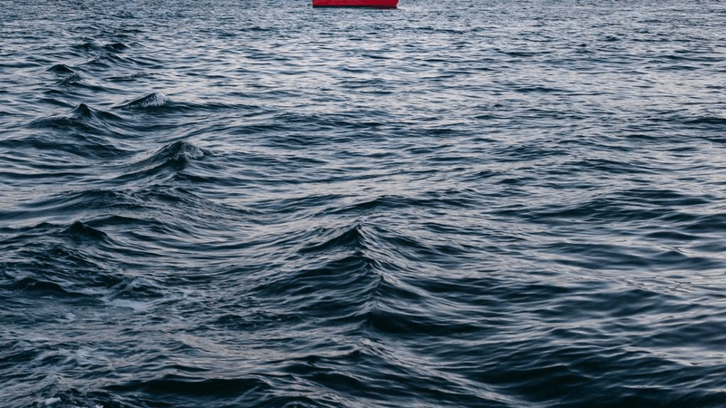 Dog - professional stock photography