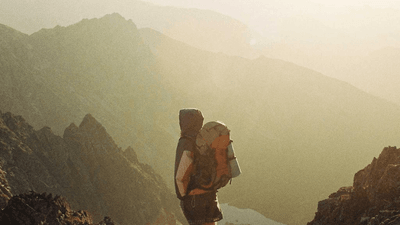 Fish - professional stock photography