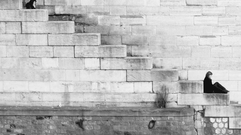 Fish - professional stock photography