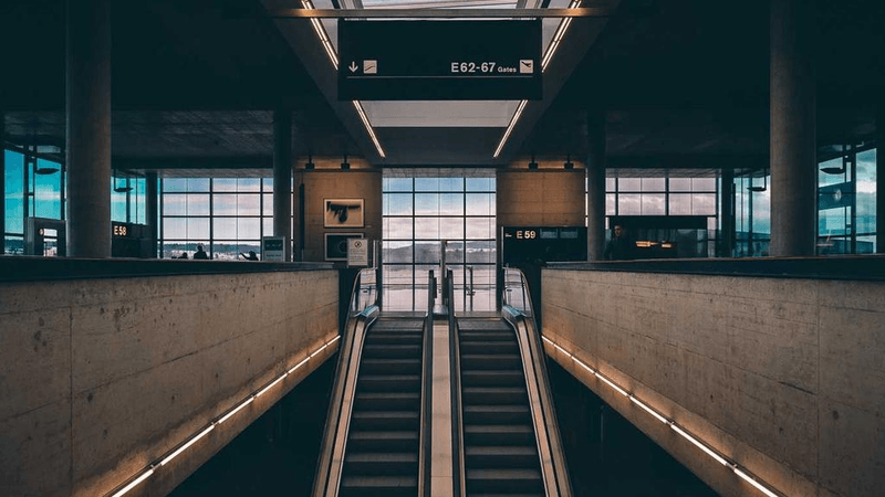 Goldfish - professional stock photography