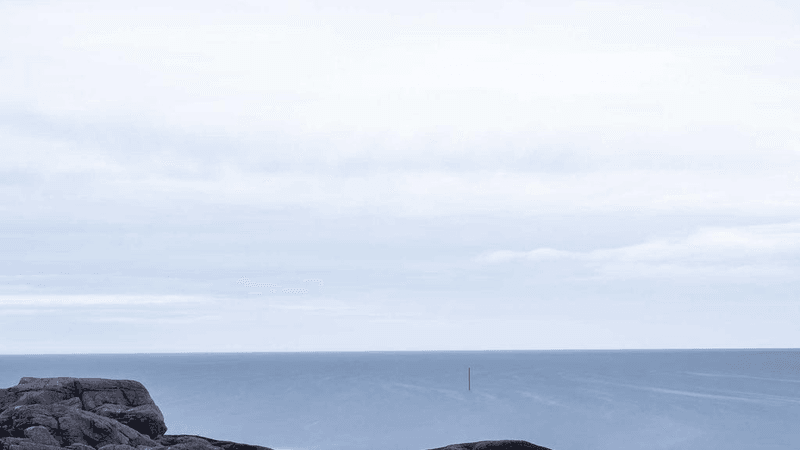 Husky - professional stock photography