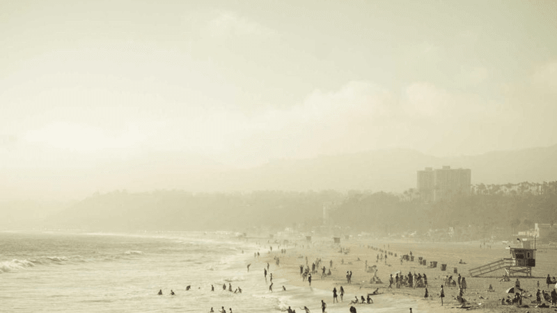 Kitten - professional stock photography