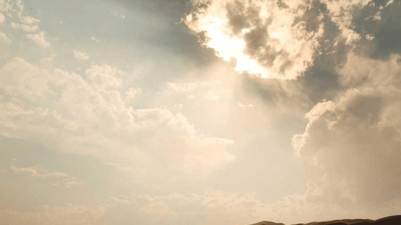 Kitten - professional stock photography