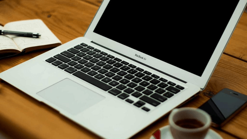 Labrador - professional stock photography