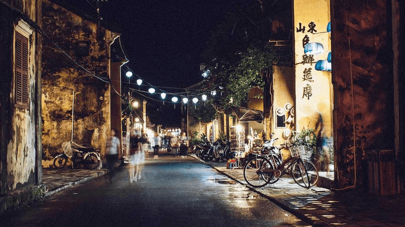 Labrador - professional stock photography