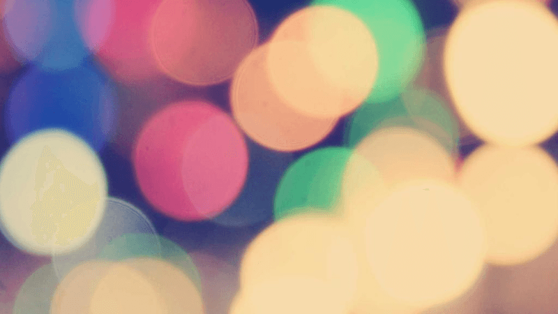 Labrador - professional stock photography