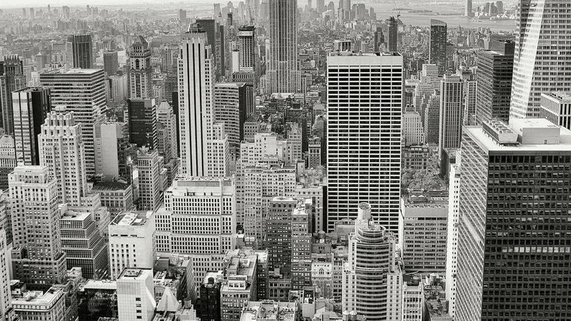 Maine Coon - professional stock photography