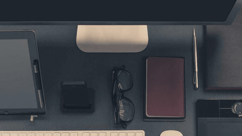 Maine Coon - professional stock photography