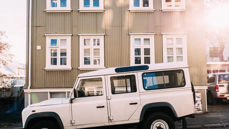 Parrot - professional stock photography