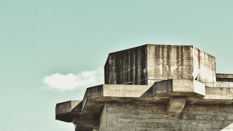 Parrot - professional stock photography