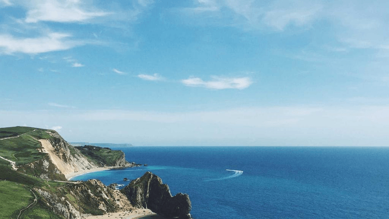 Parrot - professional stock photography