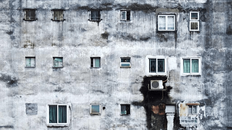 Parrot - professional stock photography