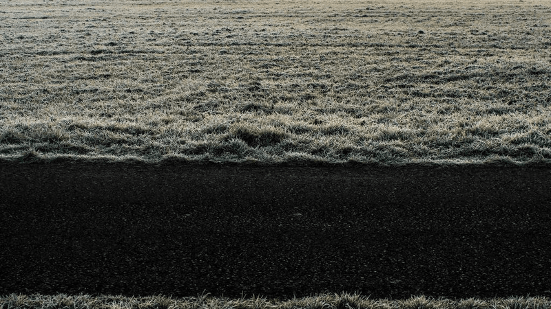 Persian - professional stock photography