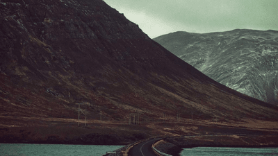 Persian - professional stock photography