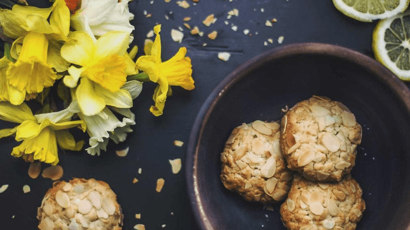 Poodle - professional stock photography