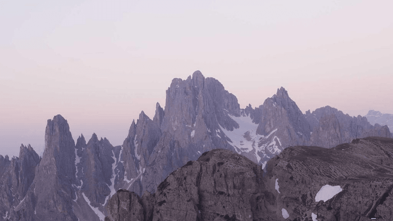 Puppy - professional stock photography