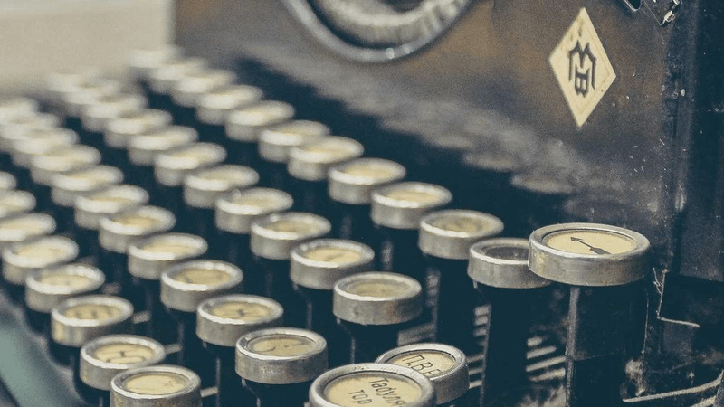 Rabbit - professional stock photography