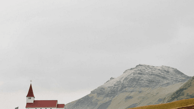 Rabbit - professional stock photography