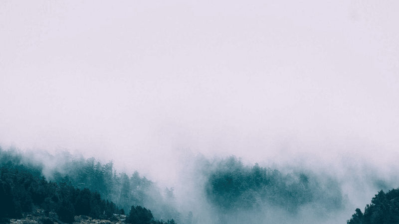 Rabbit - professional stock photography