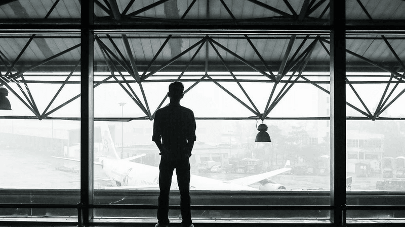 Tabby - professional stock photography