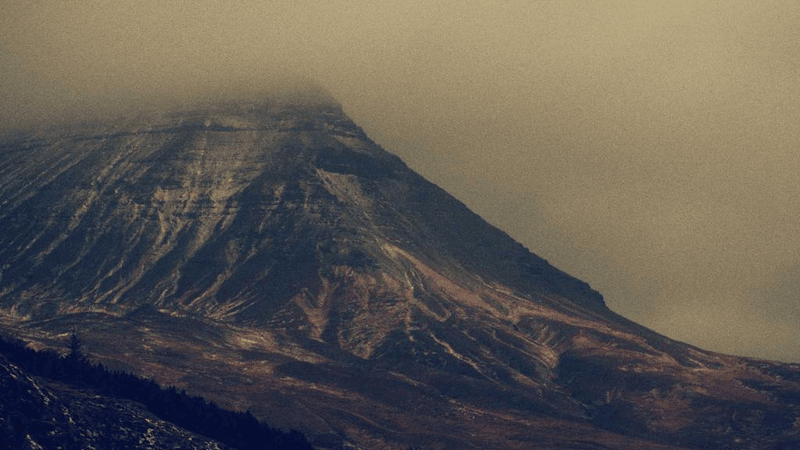 Turtle - professional stock photography