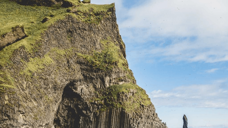 Turtle - professional stock photography